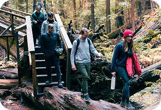 Neuron UX Team on a hike